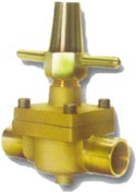 Globe Valve